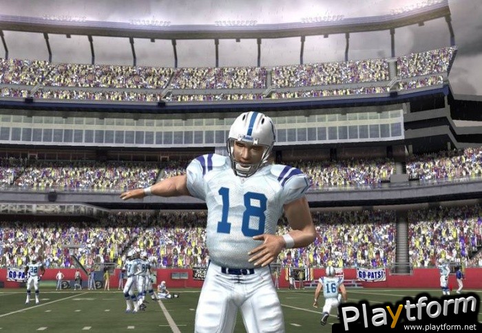 Madden NFL 2005 (PC)