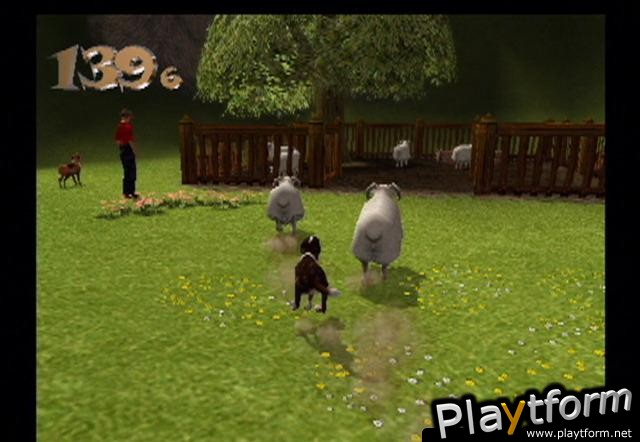 Dog's Life (PlayStation 2)