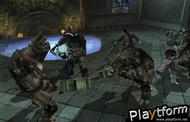 Forgotten Realms: Demon Stone (PlayStation 2)
