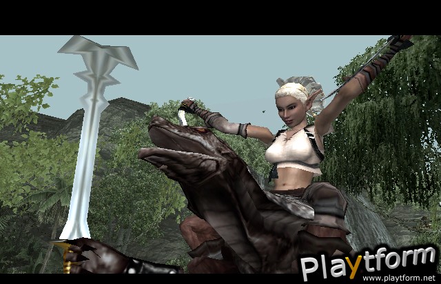 Forgotten Realms: Demon Stone (PlayStation 2)