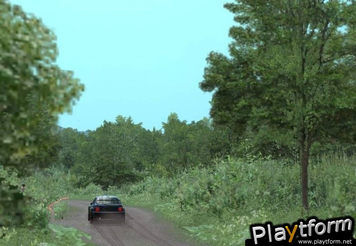 Richard Burns Rally (PC)