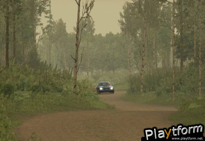 Richard Burns Rally (PC)