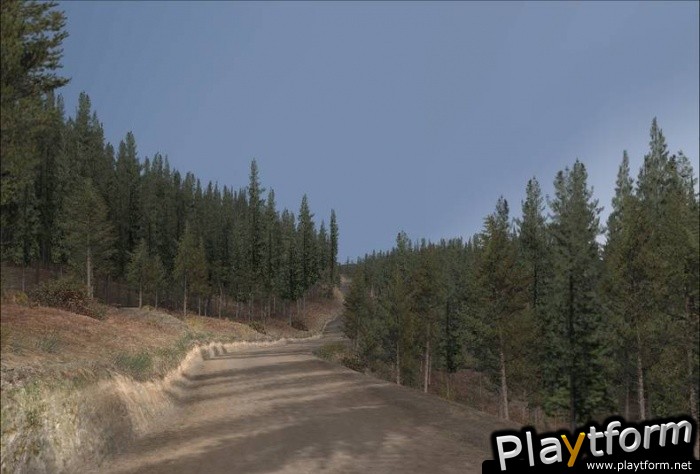 Richard Burns Rally (PC)