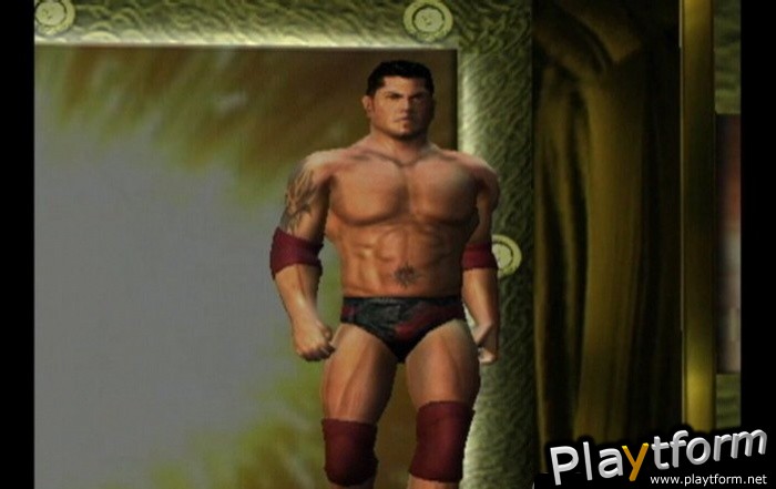 WWE Day of Reckoning (GameCube)