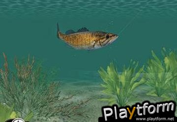 In-Fisherman: Freshwater Trophies (PC)
