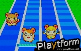 Hamtaro: Ham-Ham Games (Game Boy Advance)