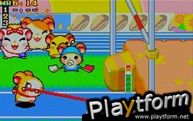 Hamtaro: Ham-Ham Games (Game Boy Advance)
