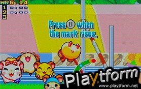 Hamtaro: Ham-Ham Games (Game Boy Advance)