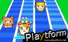 Hamtaro: Ham-Ham Games (Game Boy Advance)