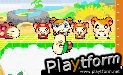 Hamtaro: Ham-Ham Games (Game Boy Advance)
