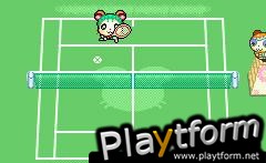 Hamtaro: Ham-Ham Games (Game Boy Advance)