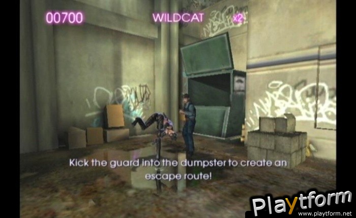 Catwoman (GameCube)