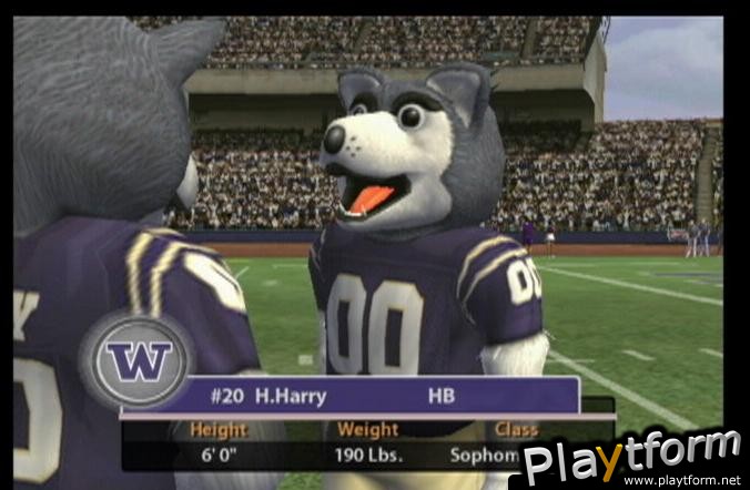 NCAA Football 2005 (GameCube)