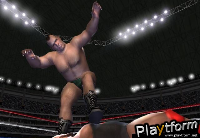 Showdown: Legends of Wrestling (PlayStation 2)