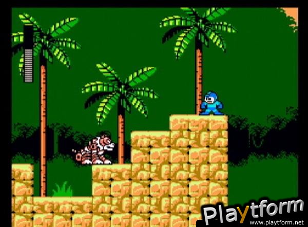 Mega Man Anniversary Collection (GameCube)