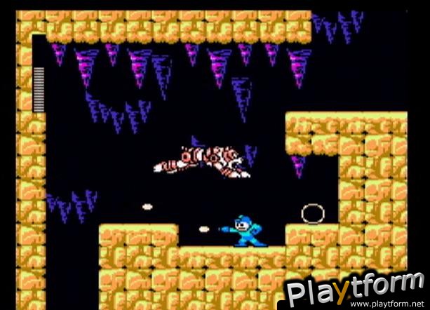 Mega Man Anniversary Collection (GameCube)