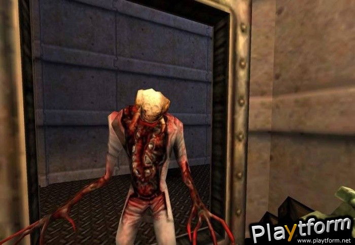 Half-Life: Source (PC)