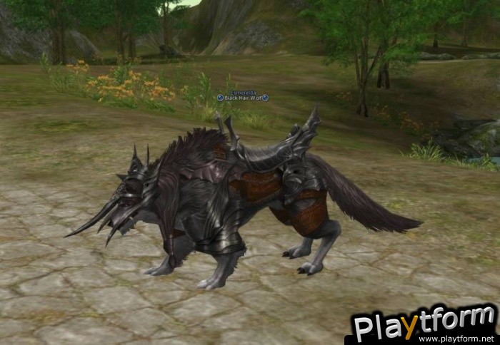 Lineage II: The Chaotic Chronicle (PC)