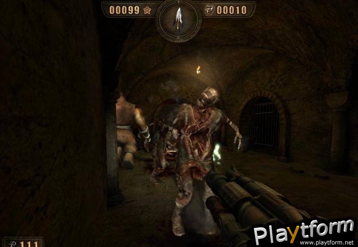 Painkiller (PC)