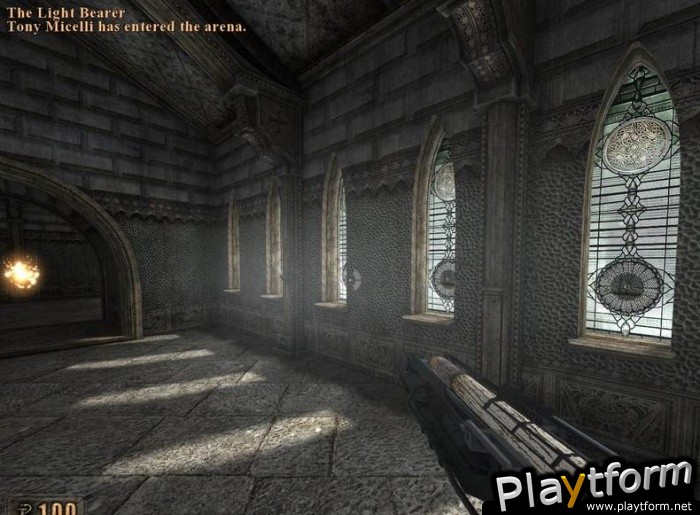 Painkiller (PC)