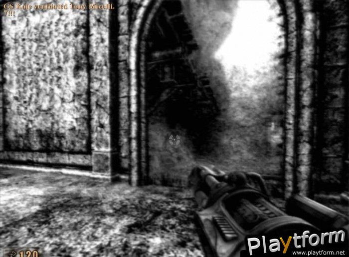 Painkiller (PC)