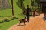 Dog's Life (PlayStation 2)
