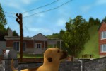 Dog's Life (PlayStation 2)