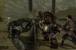 Forgotten Realms: Demon Stone (PlayStation 2)