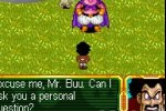 Dragon Ball Z: Buu's Fury (Game Boy Advance)