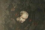 Silent Hill 4: The Room (PC)