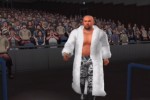 King of Colosseum II (PlayStation 2)