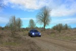 Richard Burns Rally (PC)