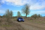 Richard Burns Rally (PC)