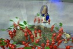 Pikmin 2 (GameCube)