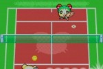 Hamtaro: Ham-Ham Games (Game Boy Advance)