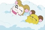 Hamtaro: Ham-Ham Games (Game Boy Advance)