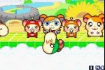 Hamtaro: Ham-Ham Games (Game Boy Advance)