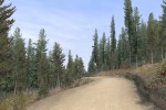 Richard Burns Rally (PlayStation 2)