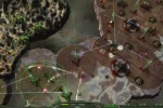 Perimeter (PC)