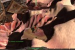 Perimeter (PC)