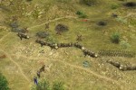 Soldiers: Heroes of World War II (PC)