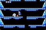 Classic NES Series: Ice Climber (Game Boy Advance)