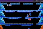 Classic NES Series: Ice Climber (Game Boy Advance)