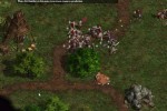 Warlords Battlecry III (PC)