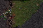 Warlords Battlecry III (PC)