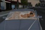 True Crime: Streets of LA (PC)