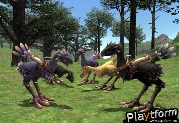 Final Fantasy XI (PlayStation 2)