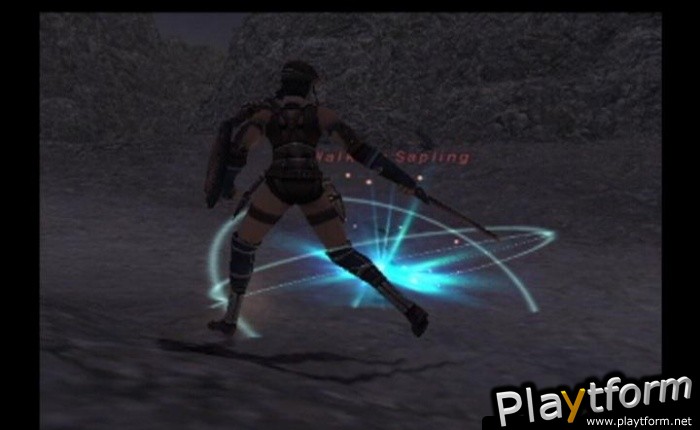 Final Fantasy XI (PlayStation 2)