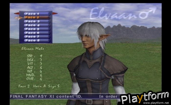 Final Fantasy XI (PlayStation 2)