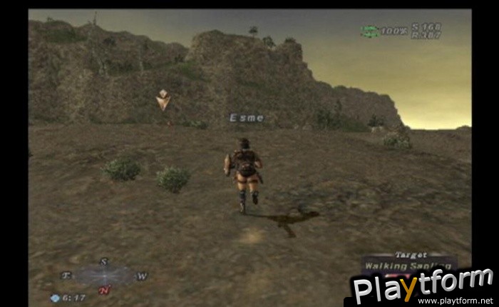Final Fantasy XI (PlayStation 2)